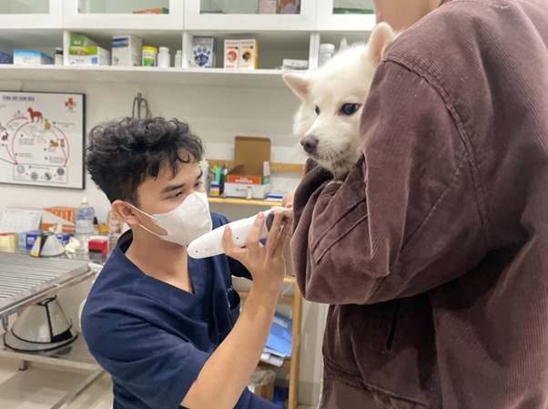 Thức ăn dạng viên dành riêng cho chó thừa cân