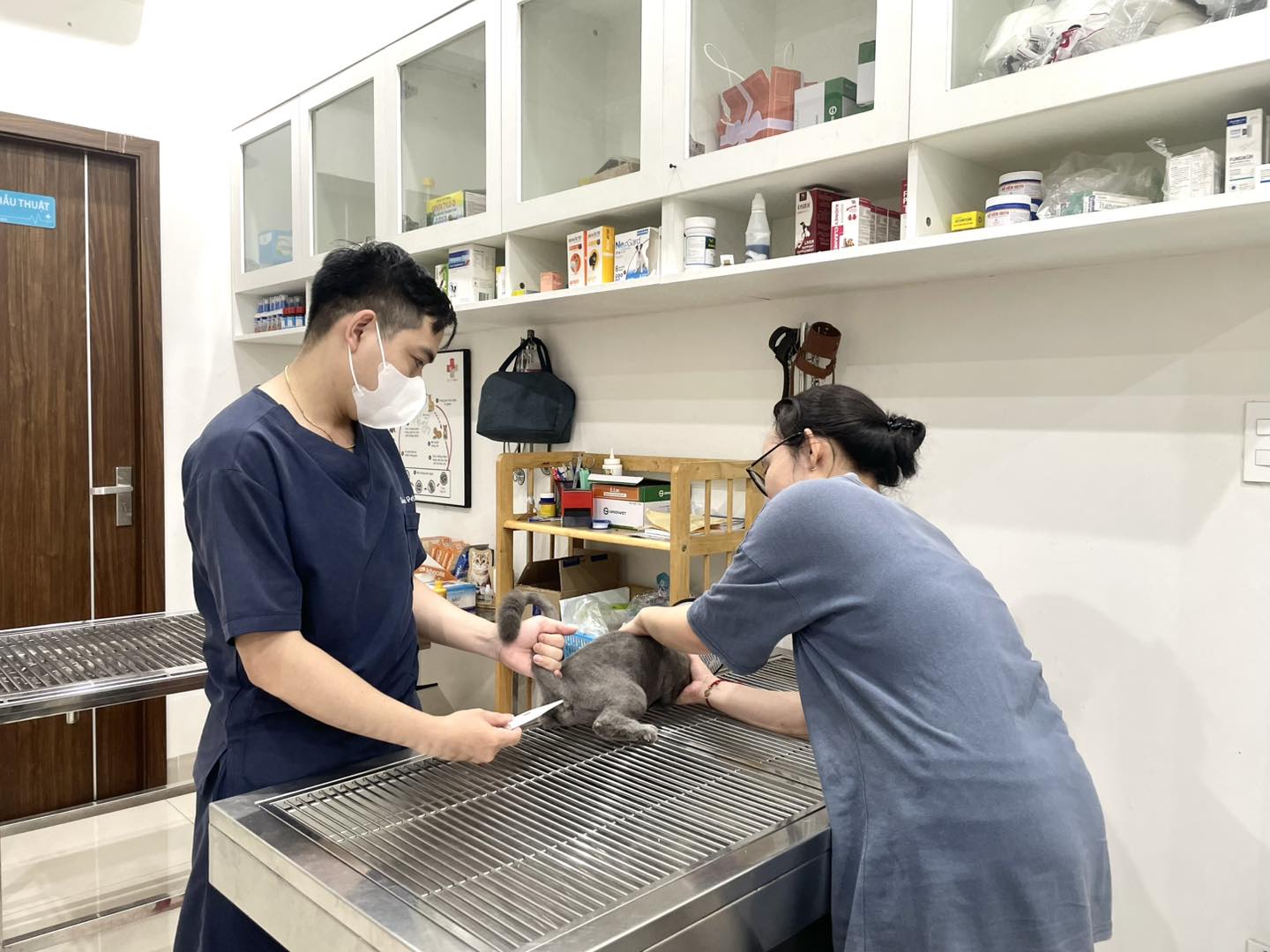 Tiêm vắc xin đầy đủ để phòng tránh bệnh ở chó