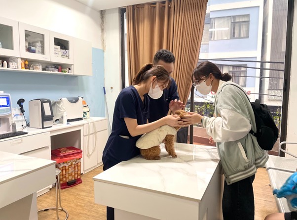 Triệu chứng của ung thư xương ở chó