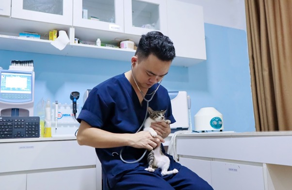 Tuổi tác và sức khỏe của mèo