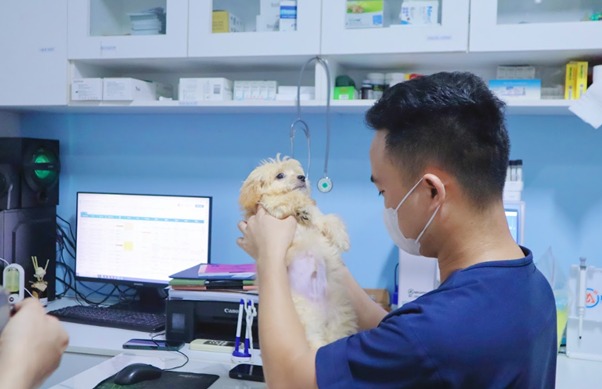 Vệ sinh nhẹ nhàng vùng xung quanh