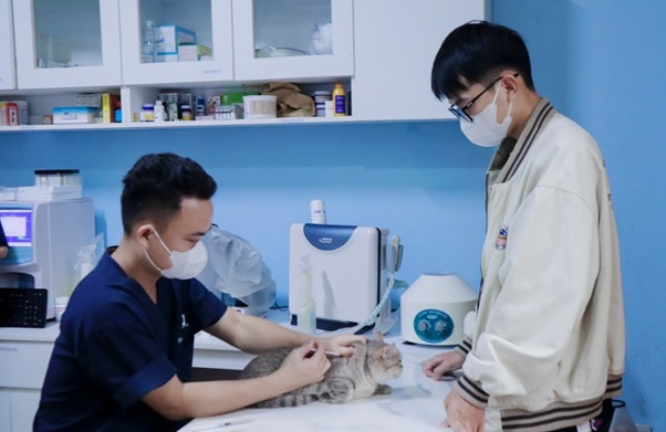 Vỗ nhẹ lên lưng mèo