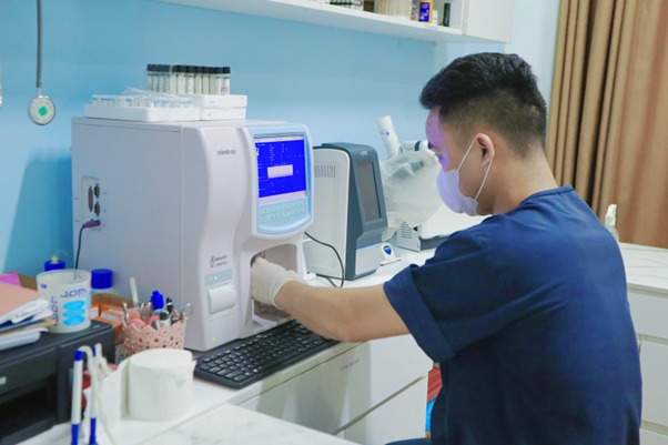 Xét nghiệm máu, nước tiểu để xác định tình trạng bệnh bị liệt của mèo