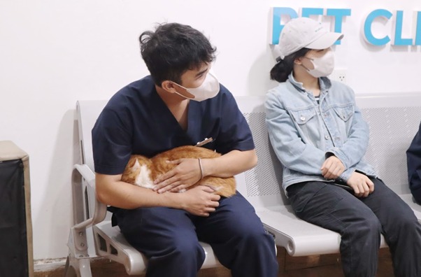 Xung đột với những con mèo khác