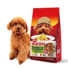 Hạt Kichen Chó Poodle Puppy 1.5kg