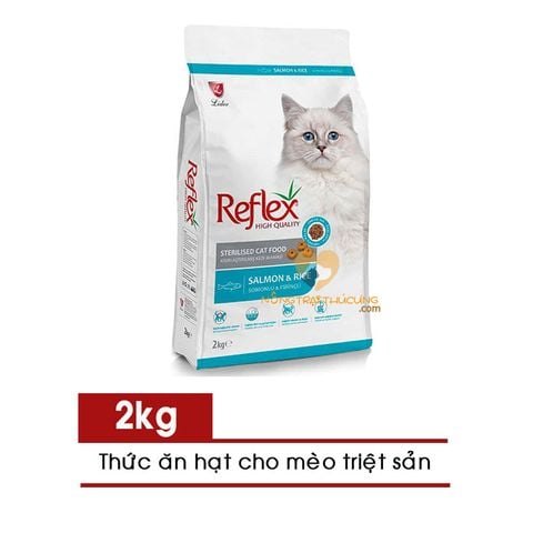 Hạt Reflex vị cá hồi adult 2kg