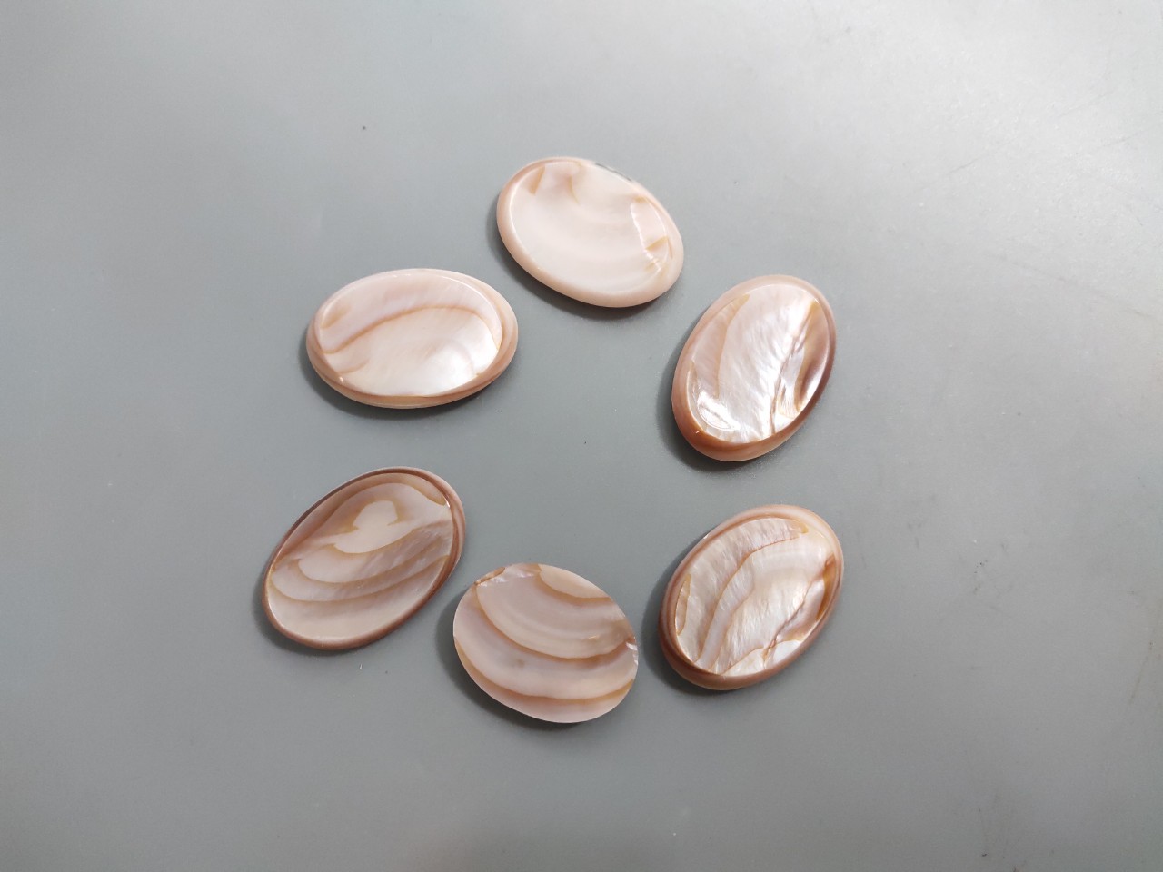 Gác đũa trai hồng oval