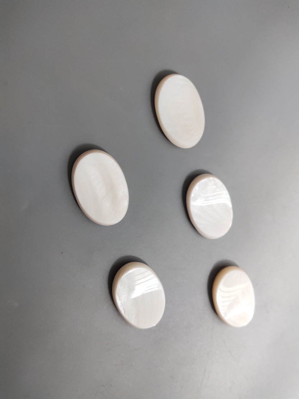 Gác đũa trai trắng oval