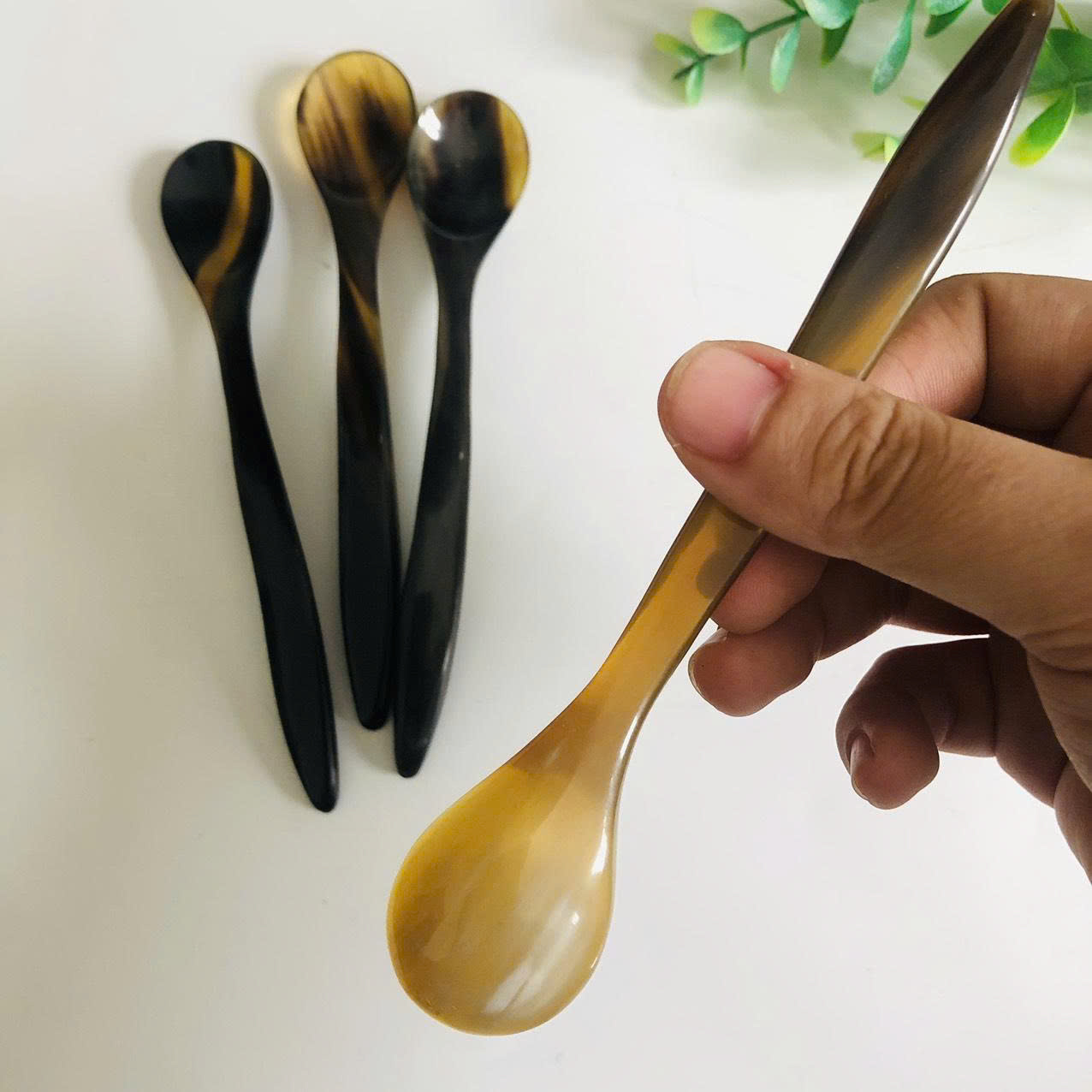 Thìa sừng miệng nhỏ cán dài