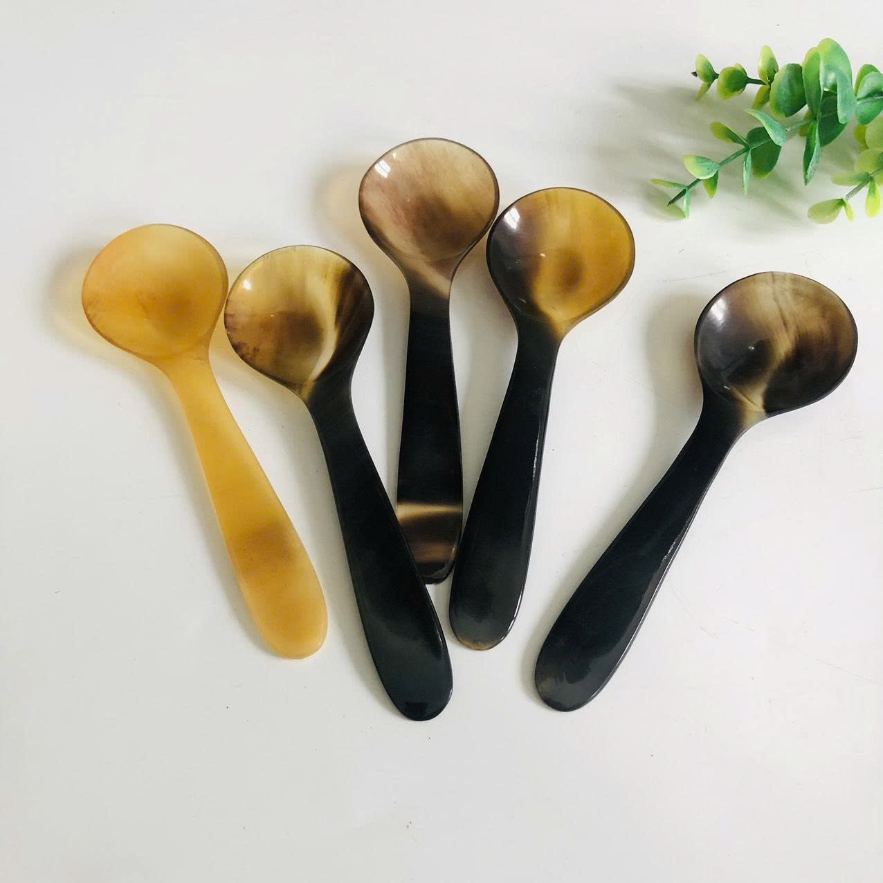 Thìa sừng miệng tròn 15x4cm