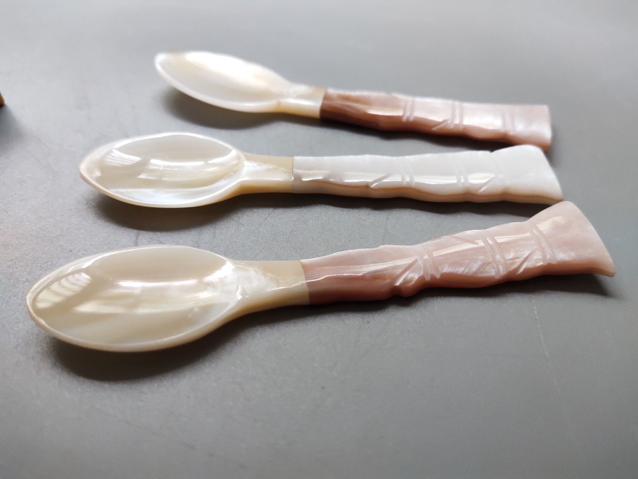 Thìa trai cây dừa 10cm