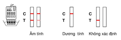 Huong-dan-su-dung-que-thu-ma-tuy-dung-cach-tai-nha.png