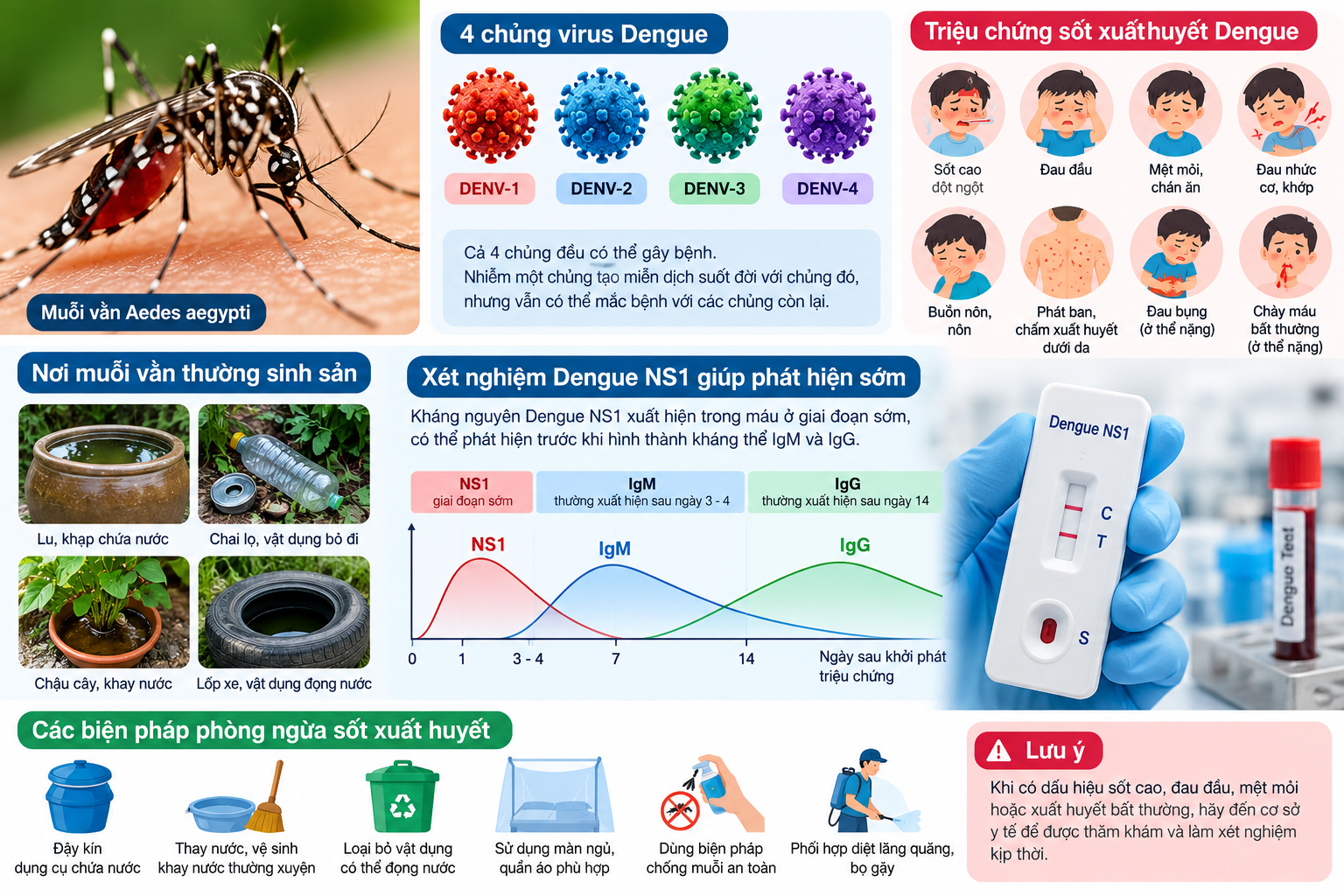 Sốt Xuất Huyết Dengue: Triệu Chứng Và Xét Nghiệm NS1