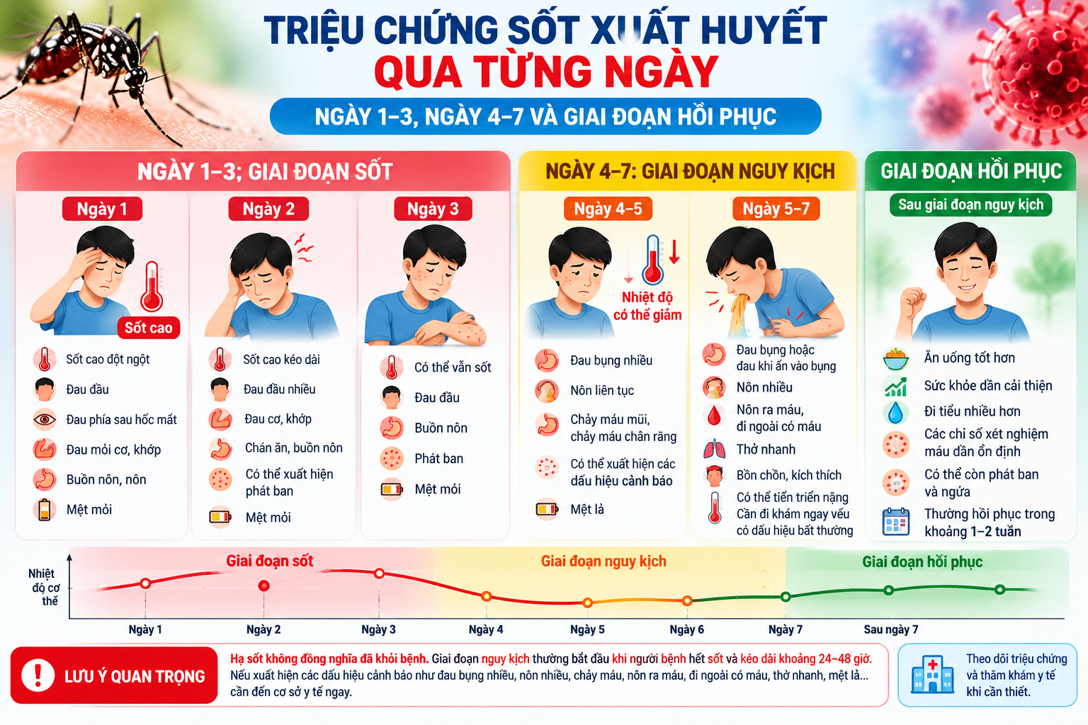 Triệu Chứng Sốt Xuất Huyết Qua Từng Ngày: Ngày 1–7