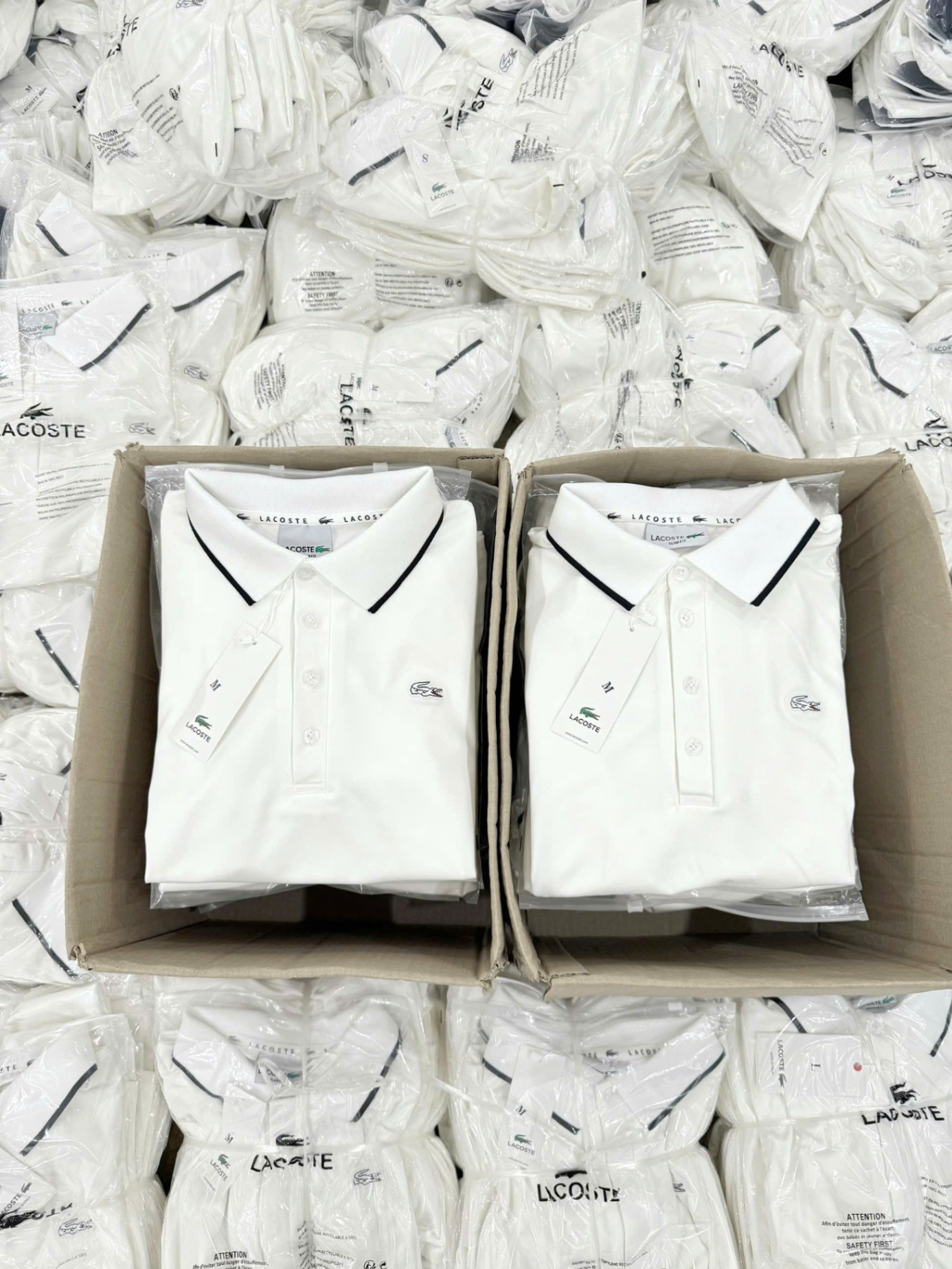 ÁO POLO LACOSSSSS CỔ PHỐI
