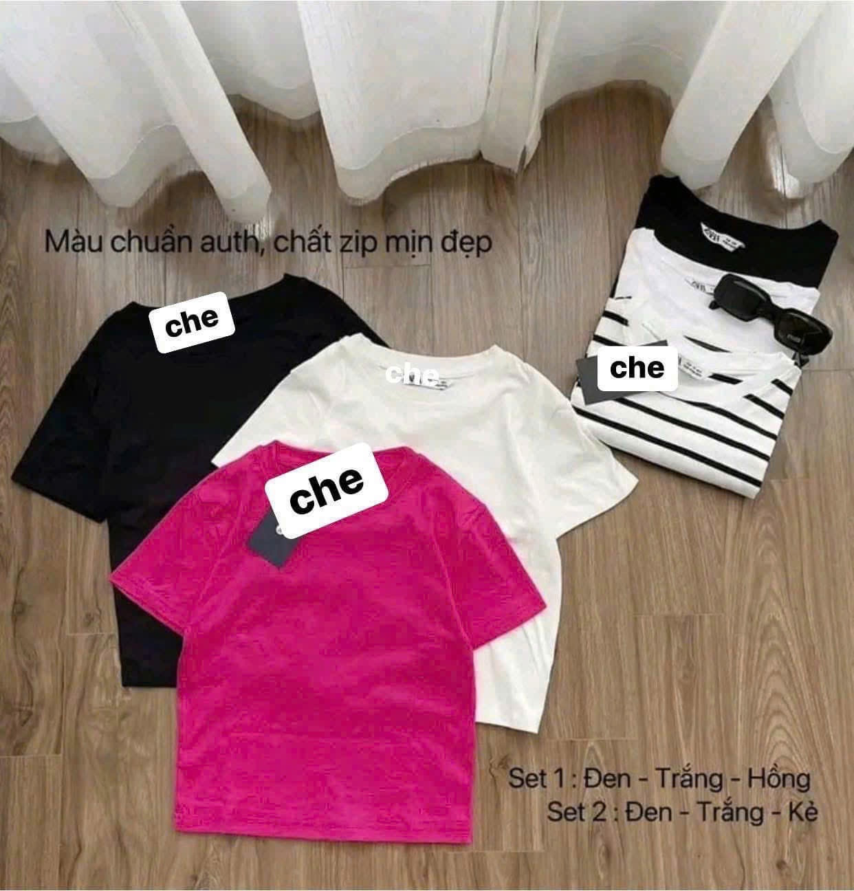 Seo: Sét 3 áo cotton Em còn 1s-1M