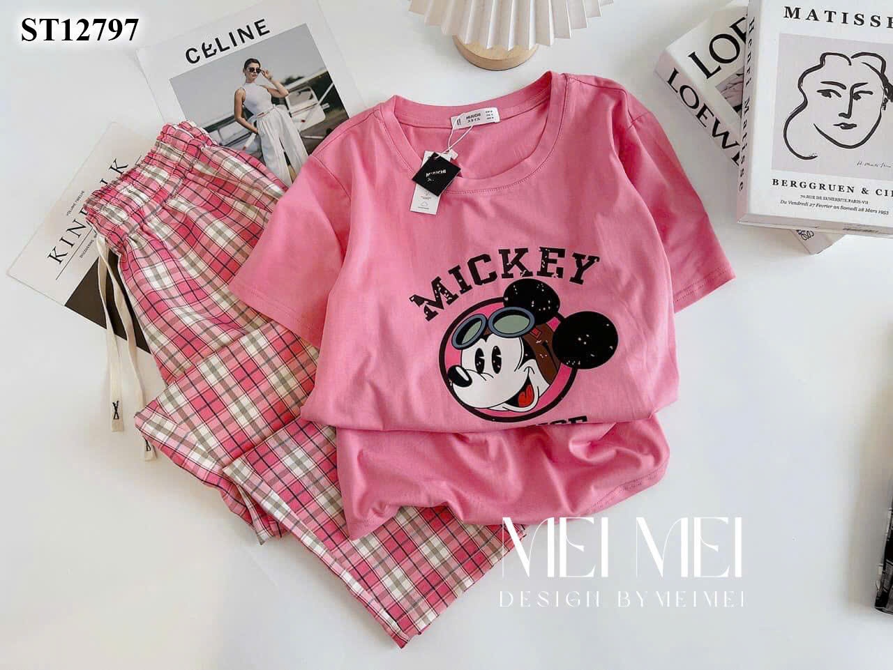 Seo: Bộ hồng 1 bộ L duy nhất #75k
