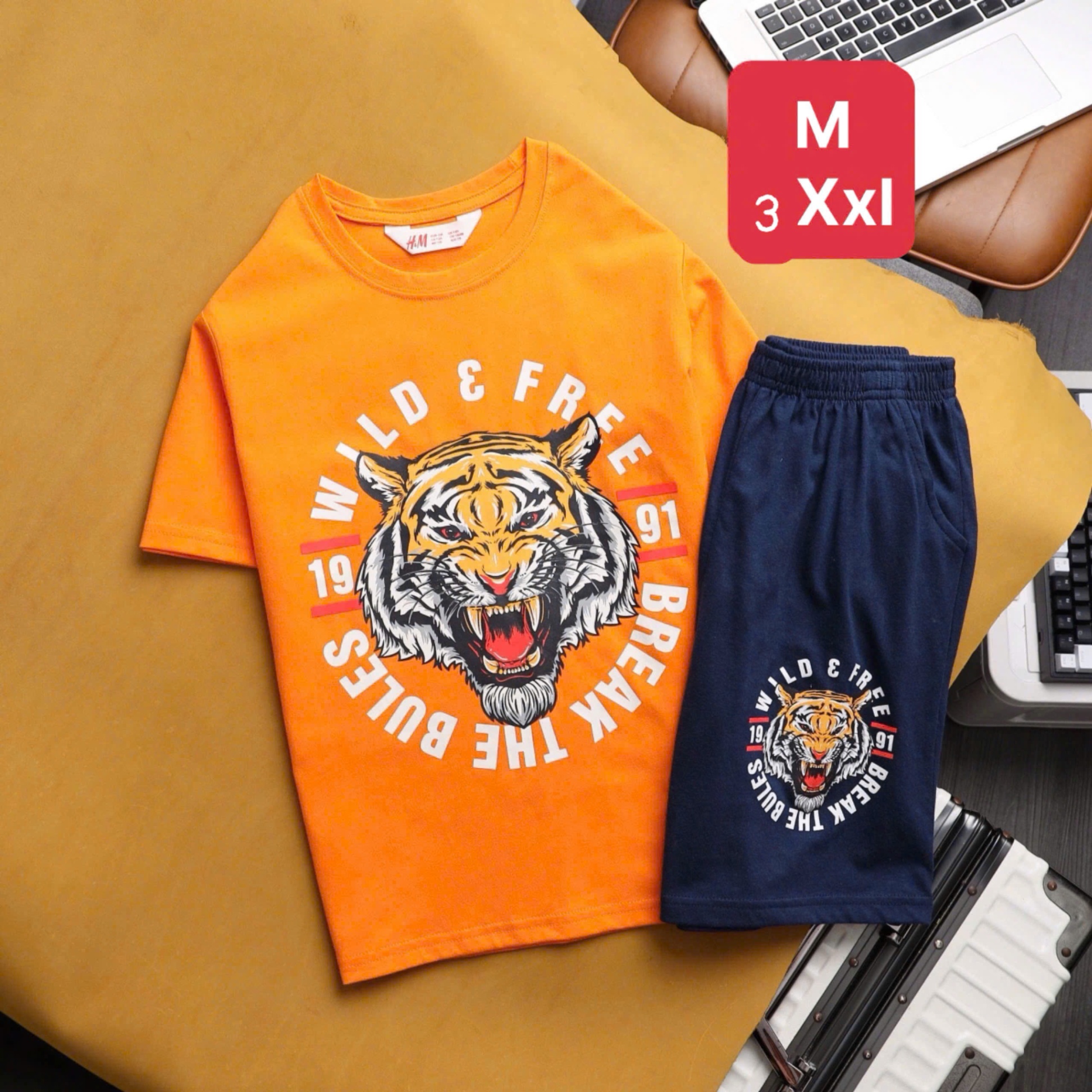 ❌SALE lỗ dọn kho ---> #100k LÔ BT Đại CO (M-3XL) hàng về kho nha các Mom. Đẹp xuất sắc luôn a