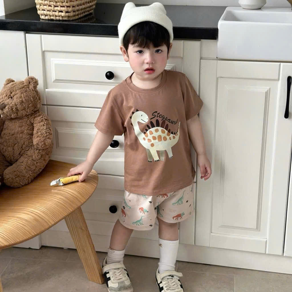 Ask Sét 3 bộ cotton Dino bé trai VNXK