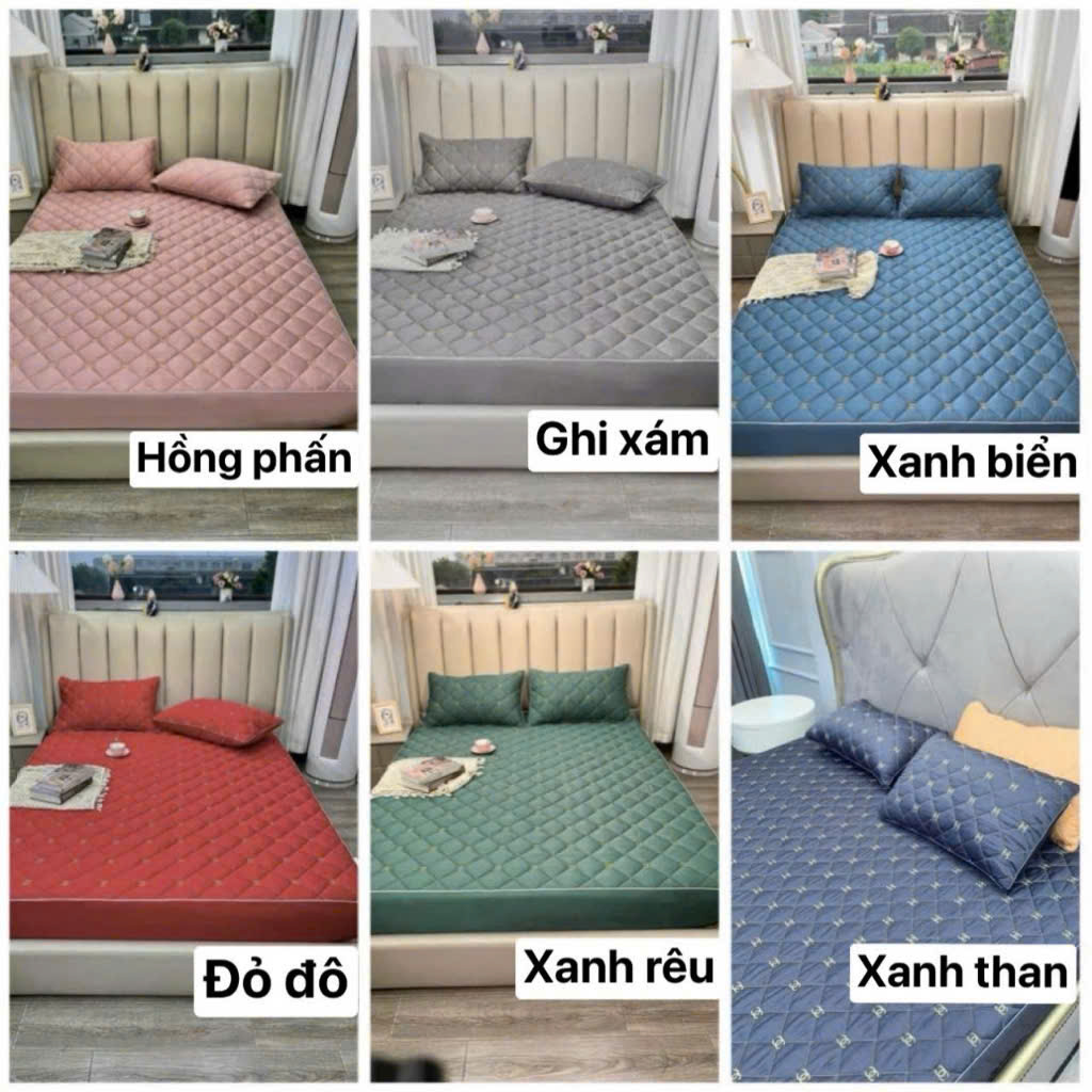Bộ ga giường + 2 vỏ gối phi lụa trần bông bo chun Coco