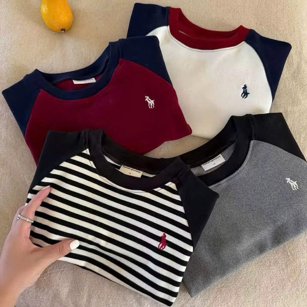 Set 4 áo thêu ngựa phối tay ngắn tay bé trai VNXK