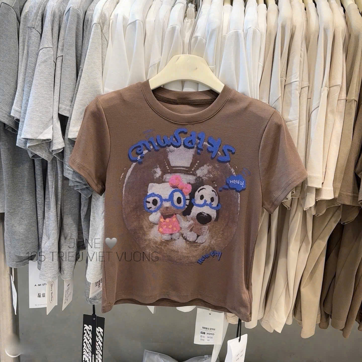 Sét áo cotton nâu chân váy xám nữ BN2