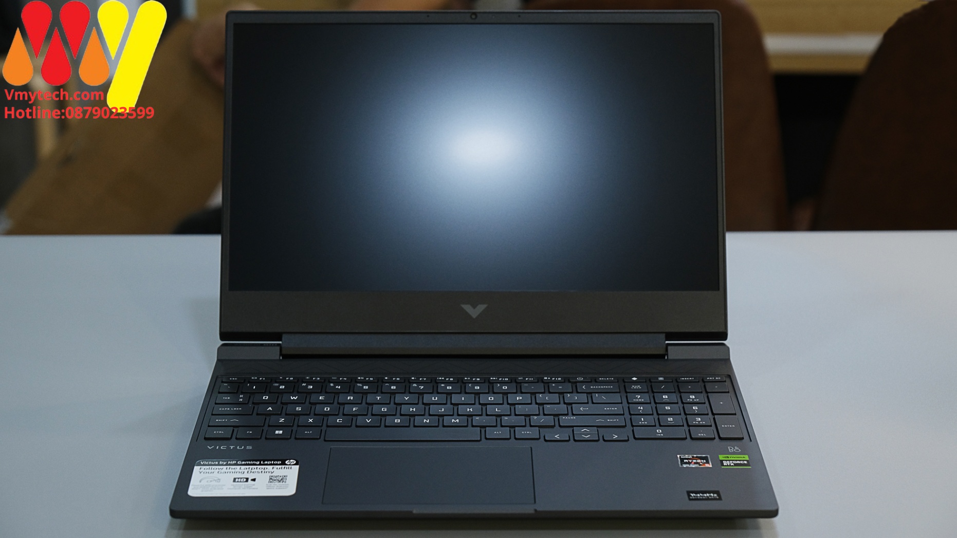 Laptop HP Victus (2023) 15-fb1013dx