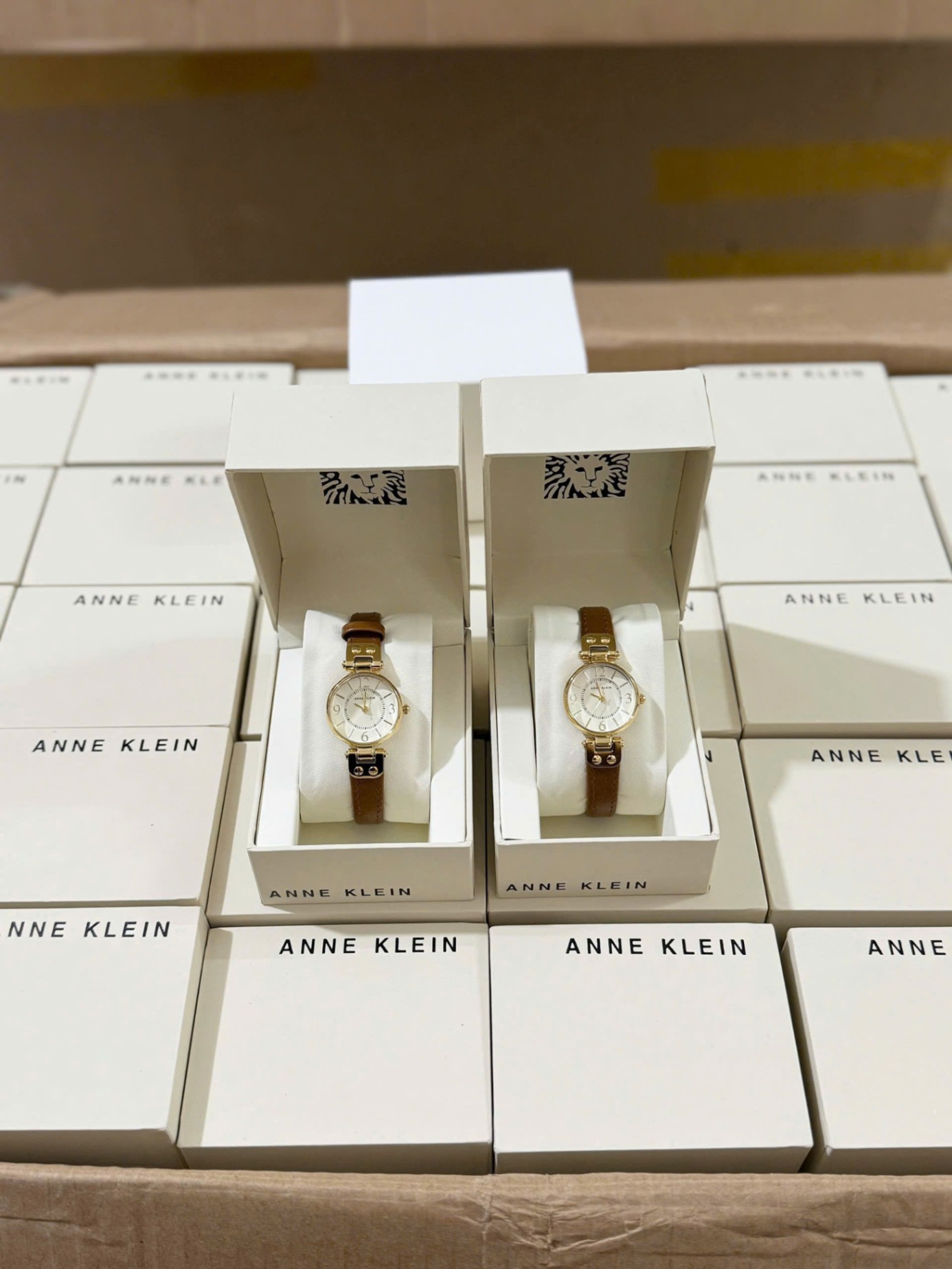 Đồng Hồ Anne Klein chống nước