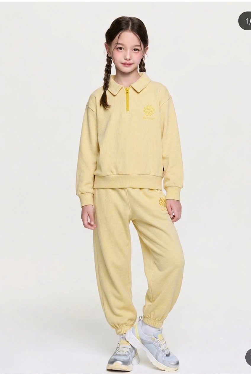 Bộ nỉ da cá beemon, cổ polo kéo khóa quần jogger