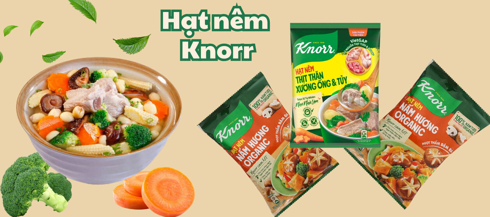 Knorr