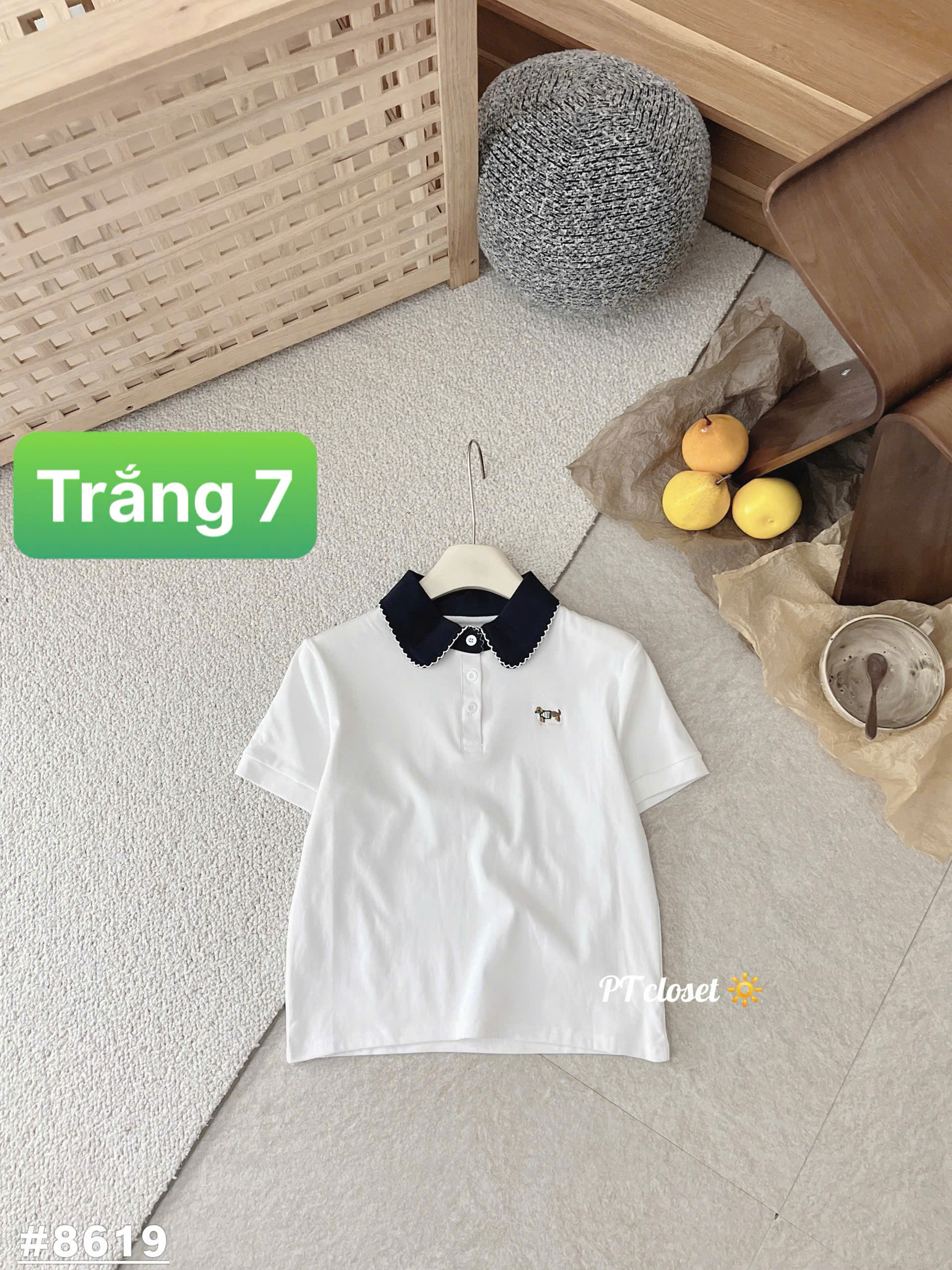 AP8619 áo polo phối cổ
