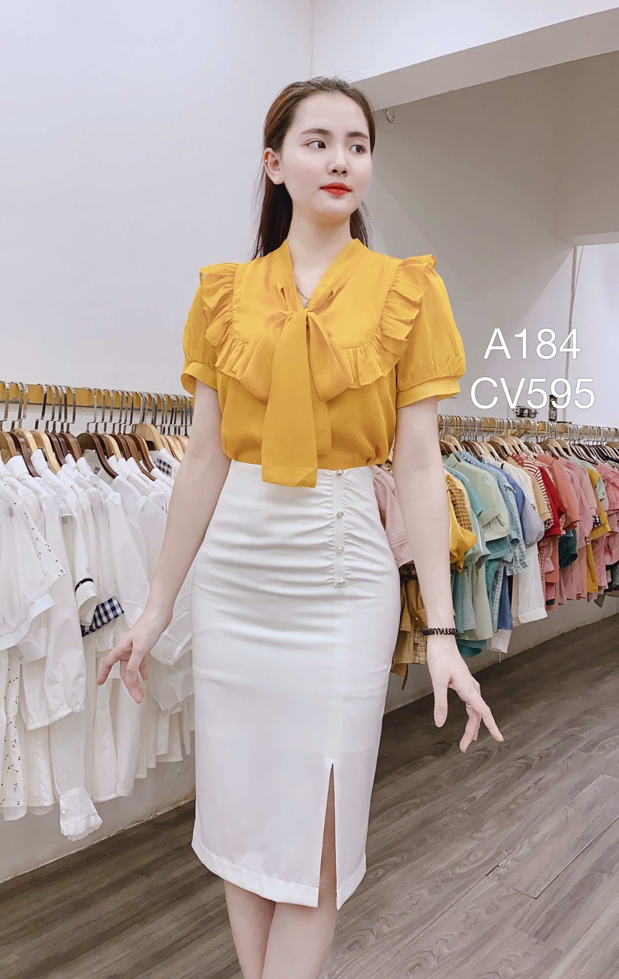 CV595 cv 3 cúc ngọc
