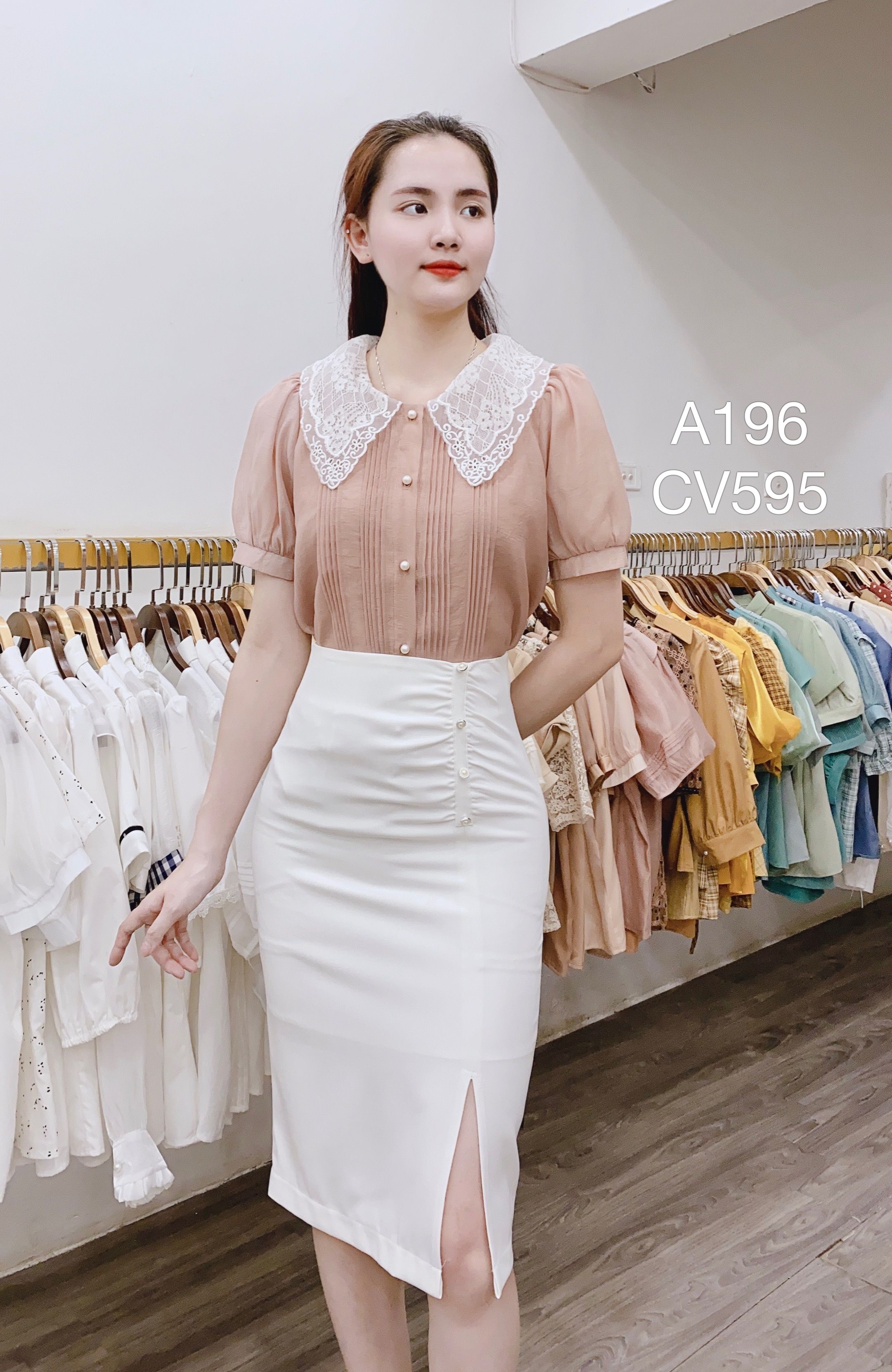 CV595 cv 3 cúc ngọc