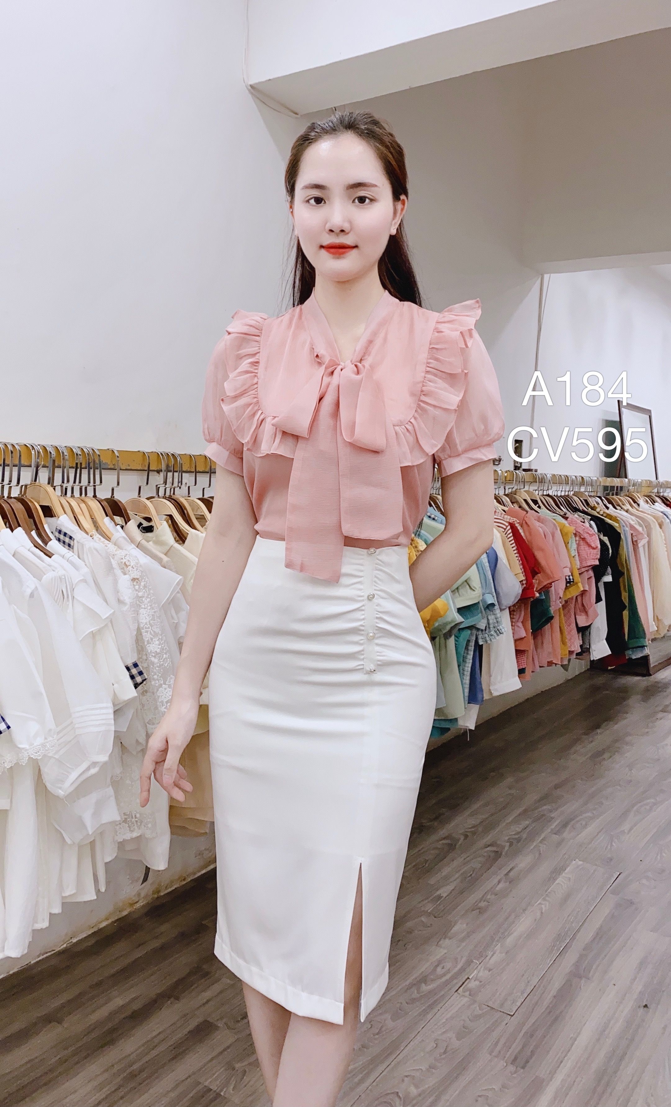 CV595 cv 3 cúc ngọc