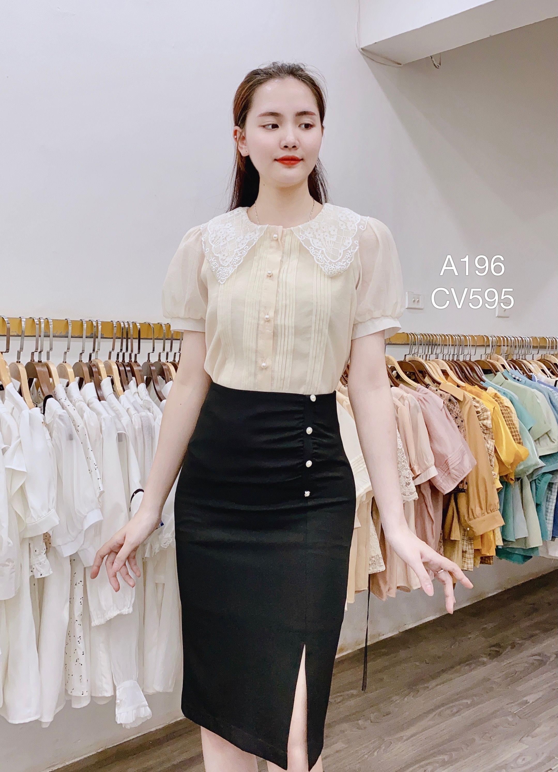 CV595 cv 3 cúc ngọc