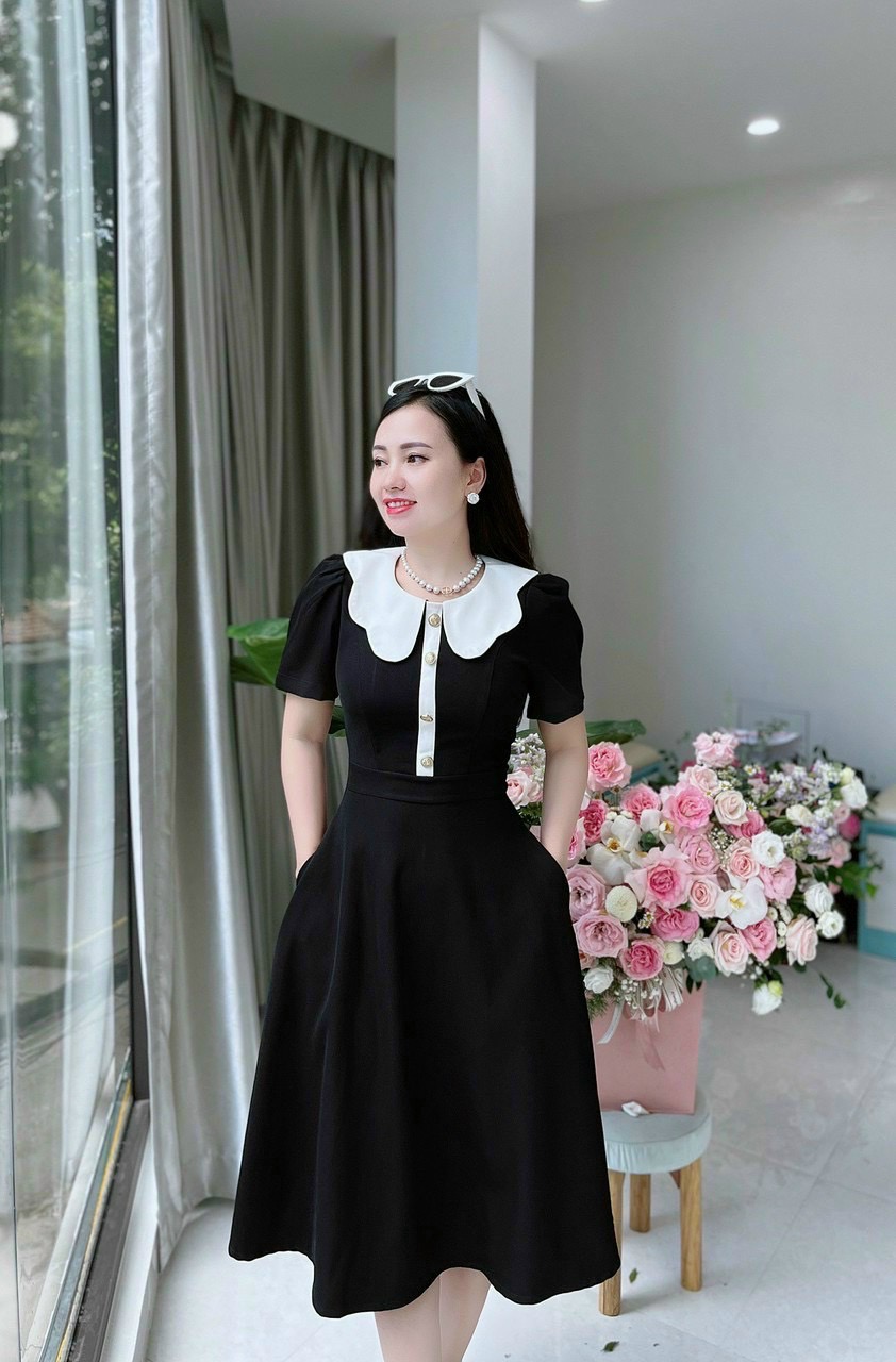 VX745 Váy xòe cổ bướm