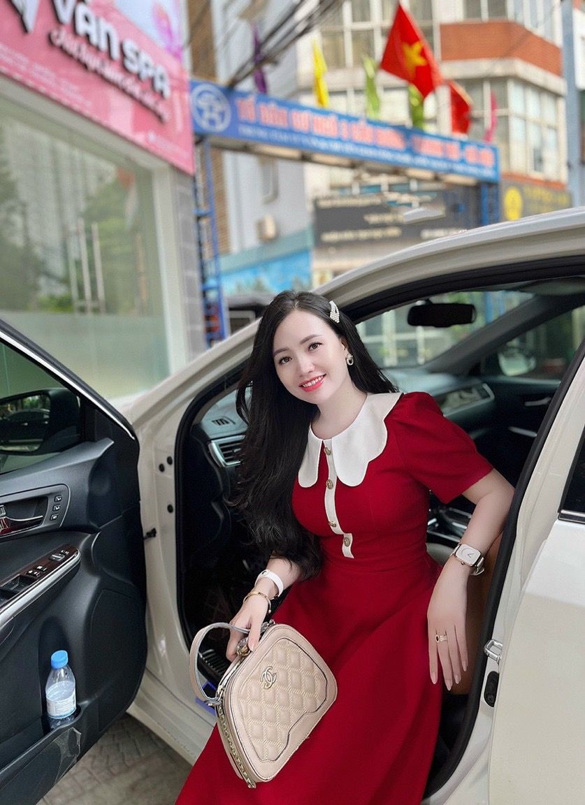 VX745 Váy xòe cổ bướm
