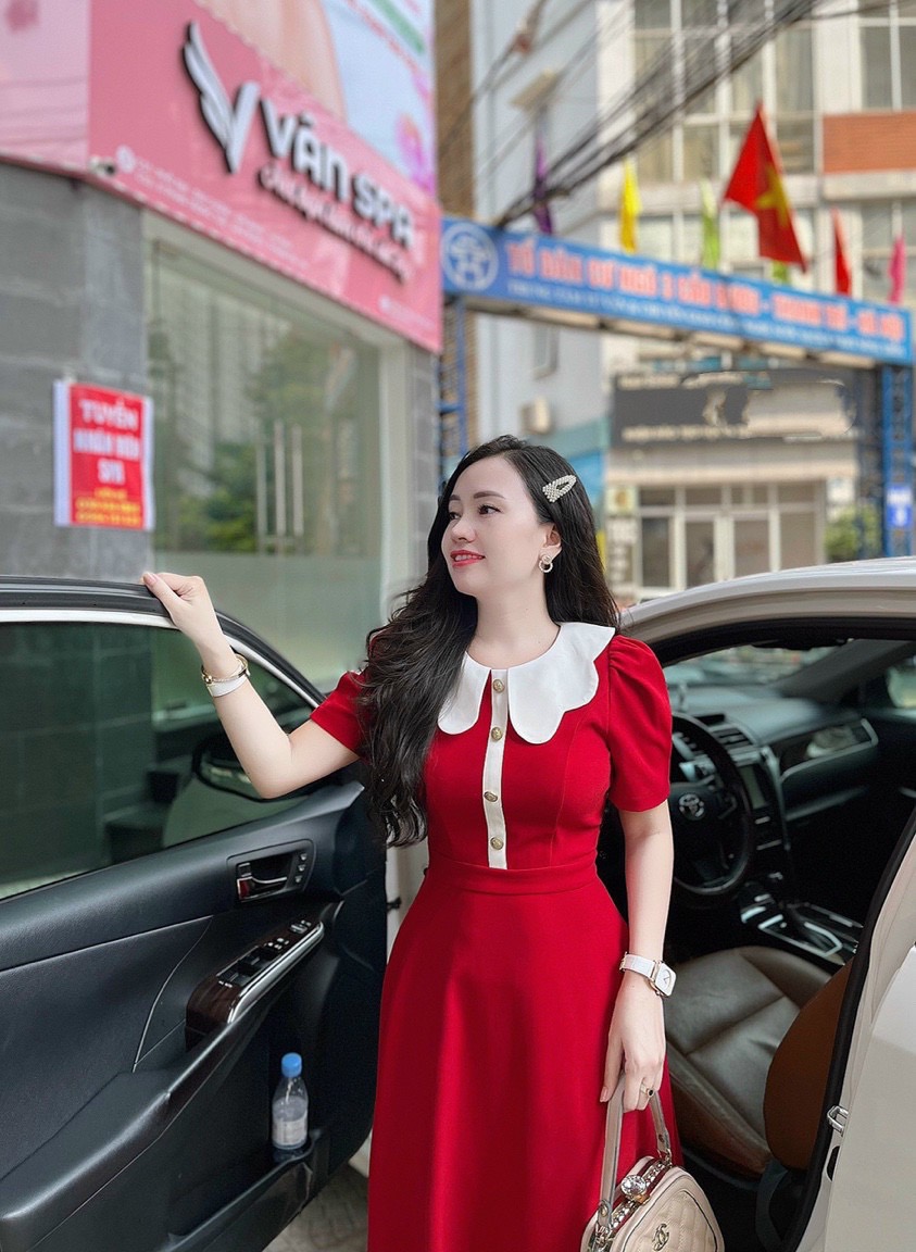 VX745 Váy xòe cổ bướm