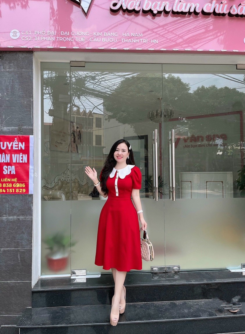 VX745 Váy xòe cổ bướm