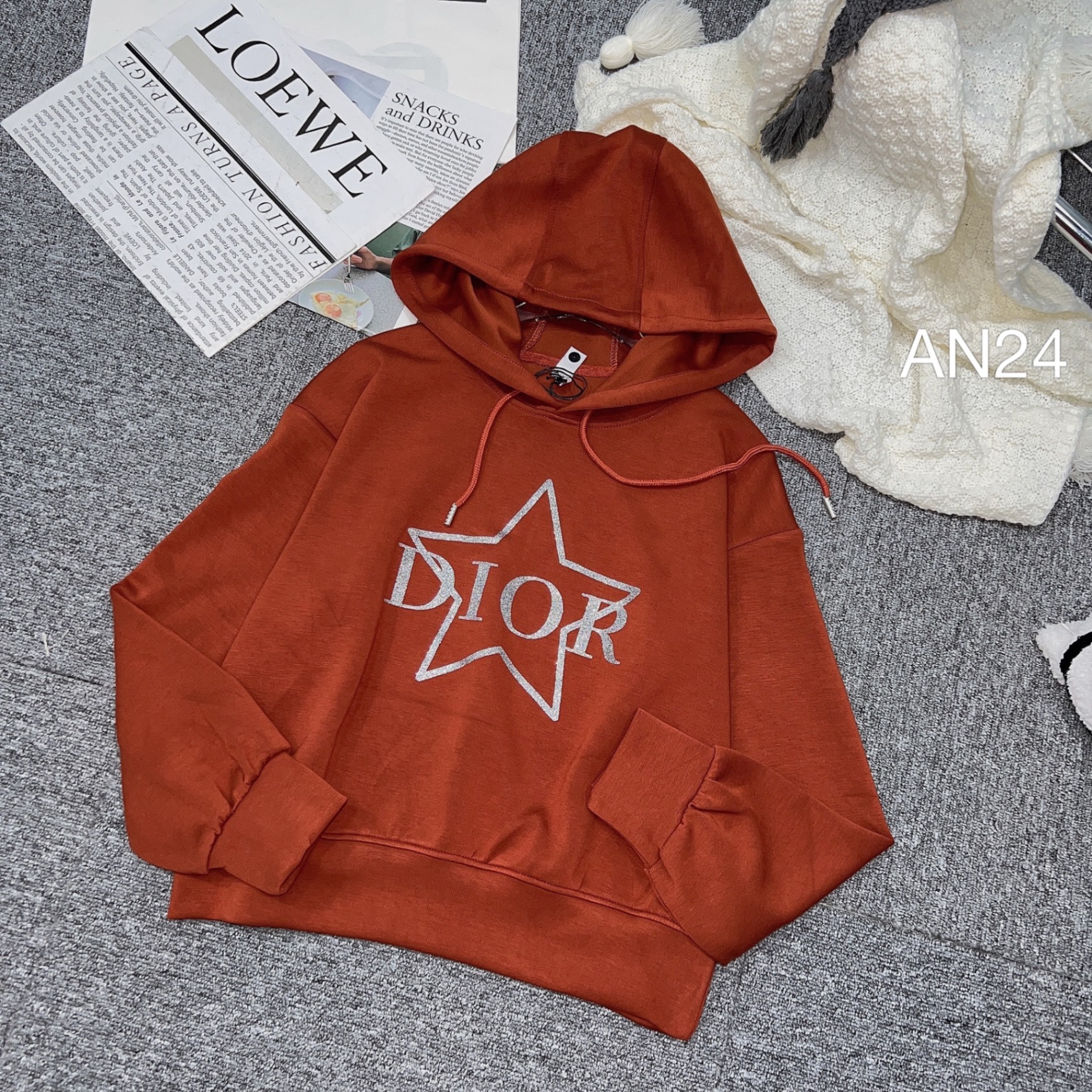 AN24 áo nỉ mũ Dior