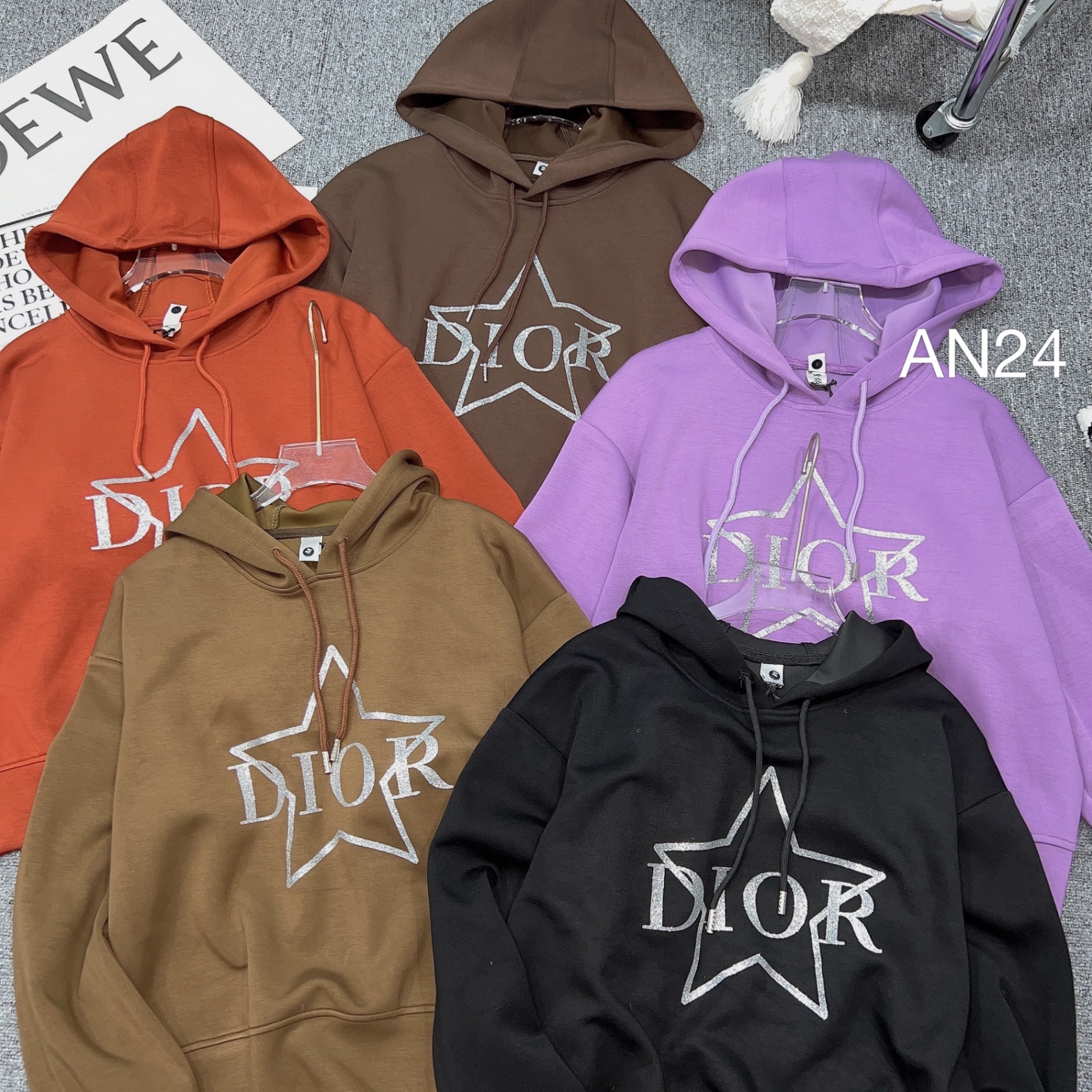 AN24 áo nỉ mũ Dior