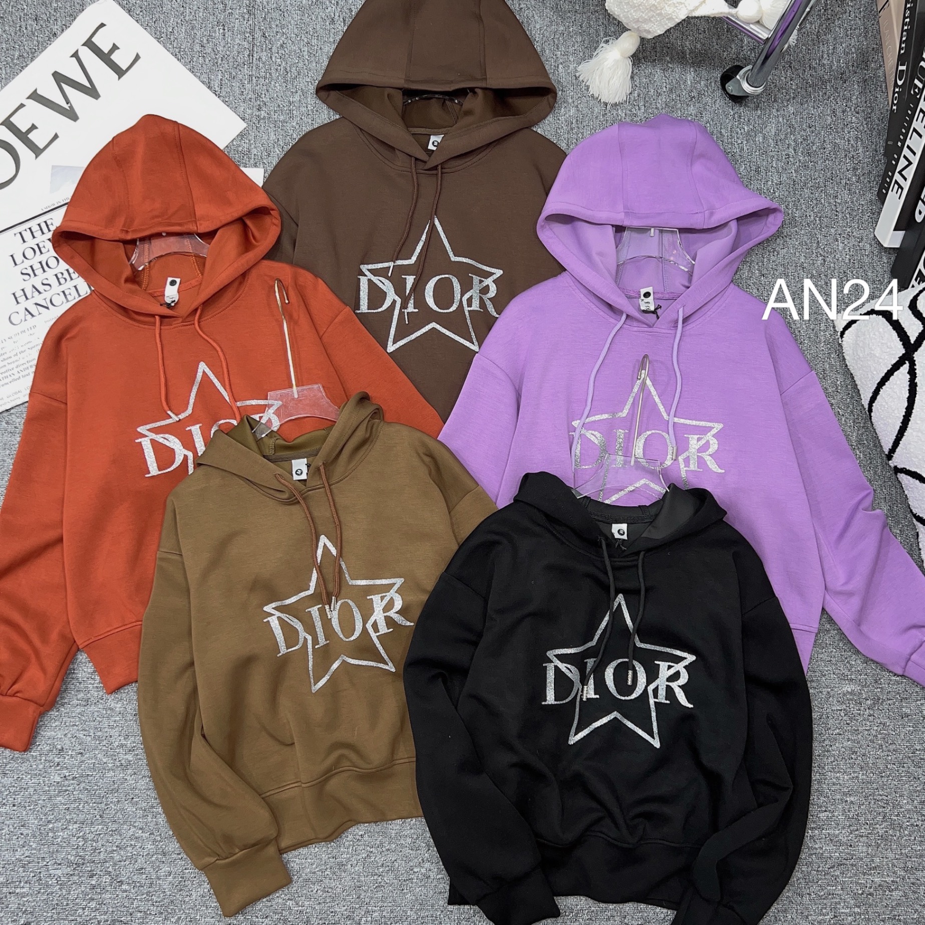 AN24 áo nỉ mũ Dior