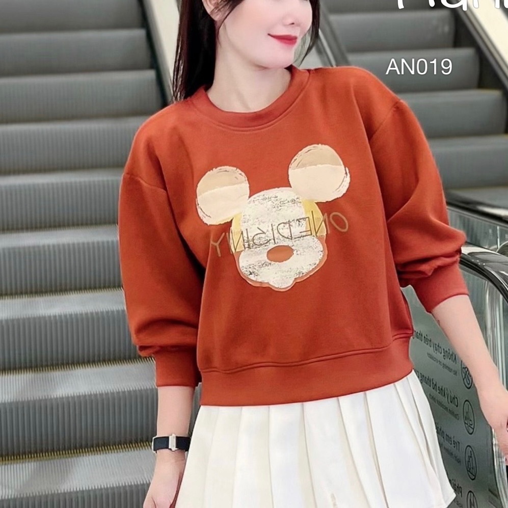 AN019 áo nỉ đầu mickey