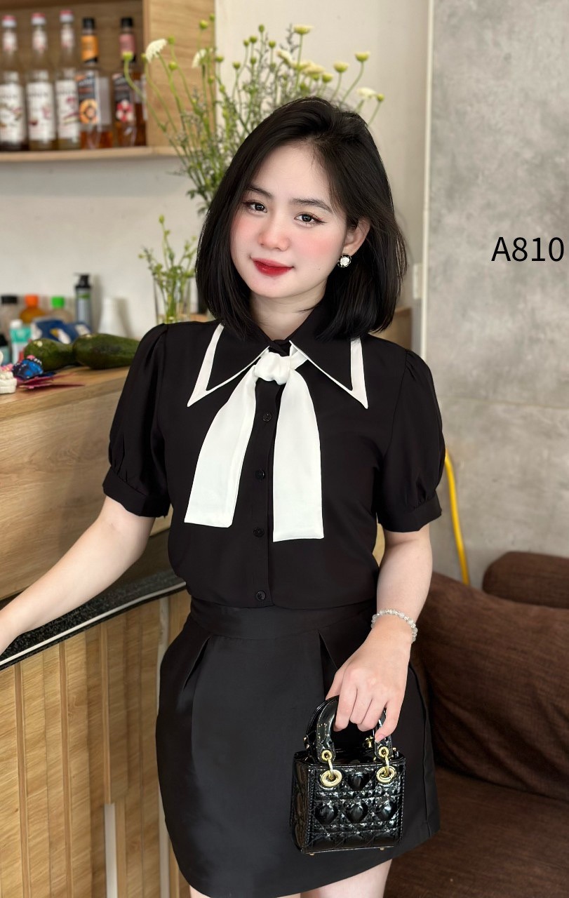 A810 sơ mi cổ nhọn 2 màu