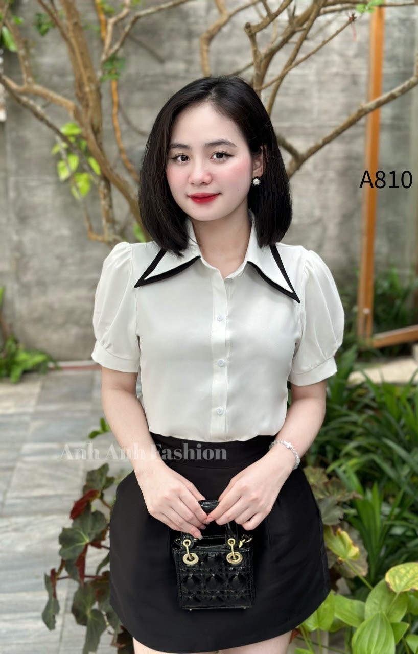 A810 sơ mi cổ nhọn 2 màu