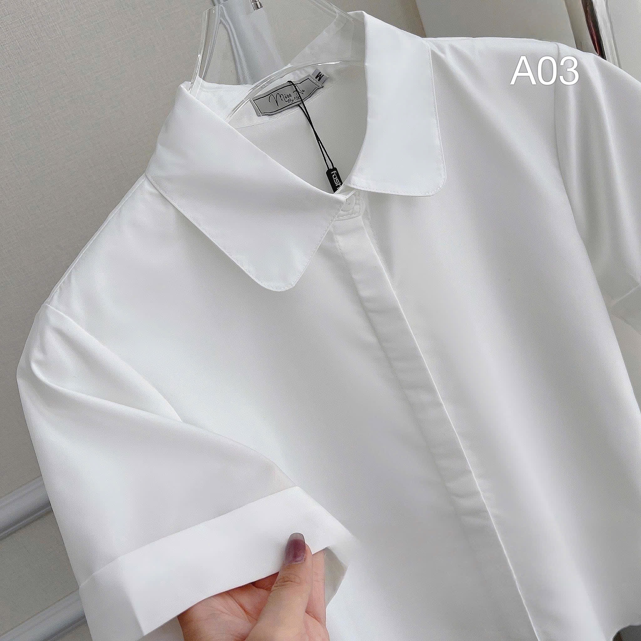 A03 áo trắng cổ sen - Trắng - M