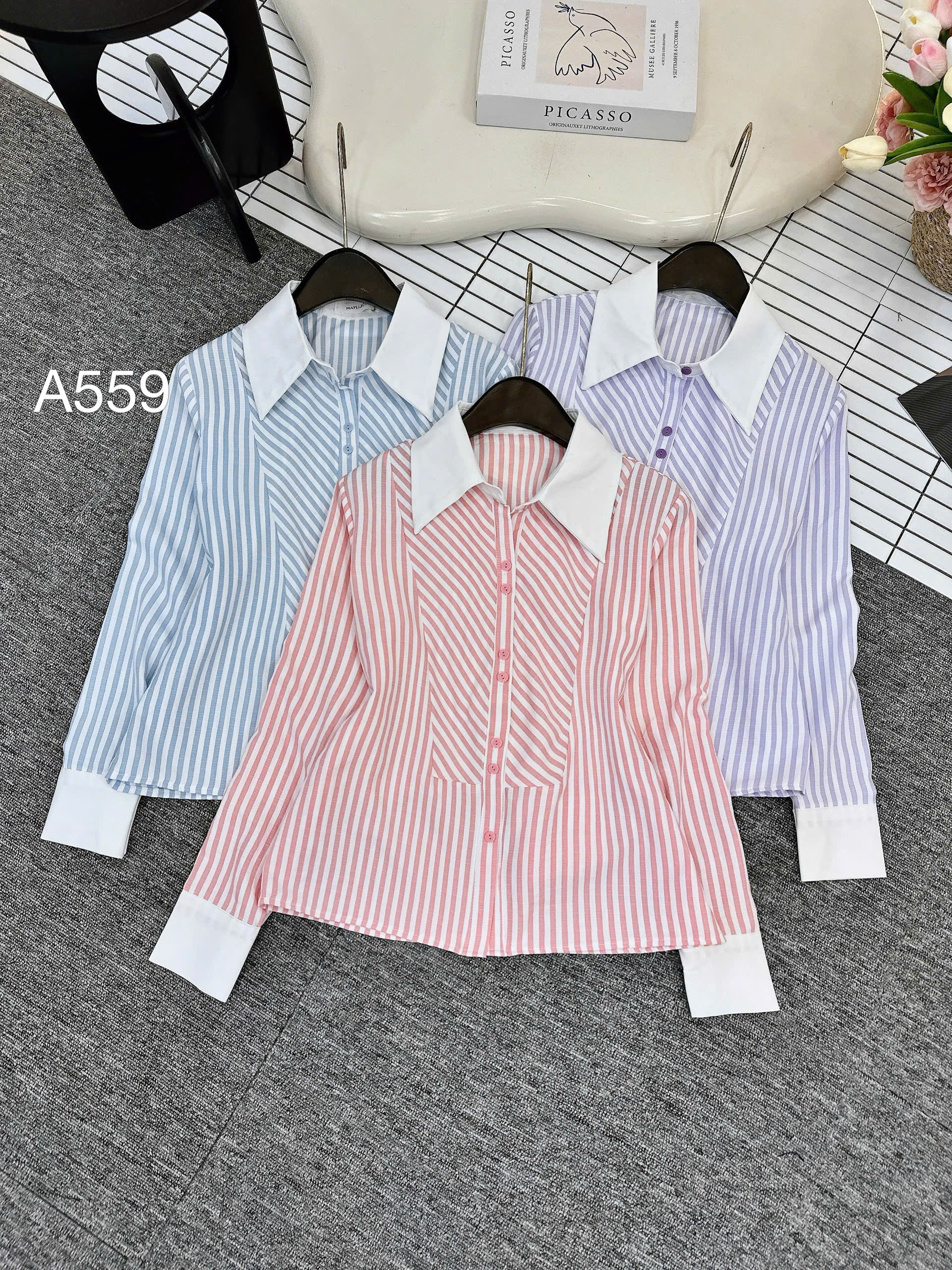 A559 Áo sơ mi kẻ cổ trắng