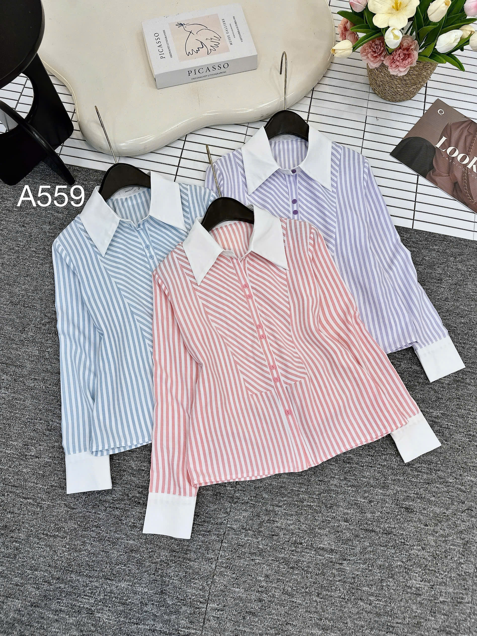 A559 Áo sơ mi kẻ cổ trắng