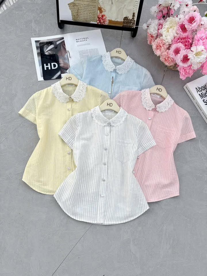 A610 Áo sơ mi kẻ cổ ren