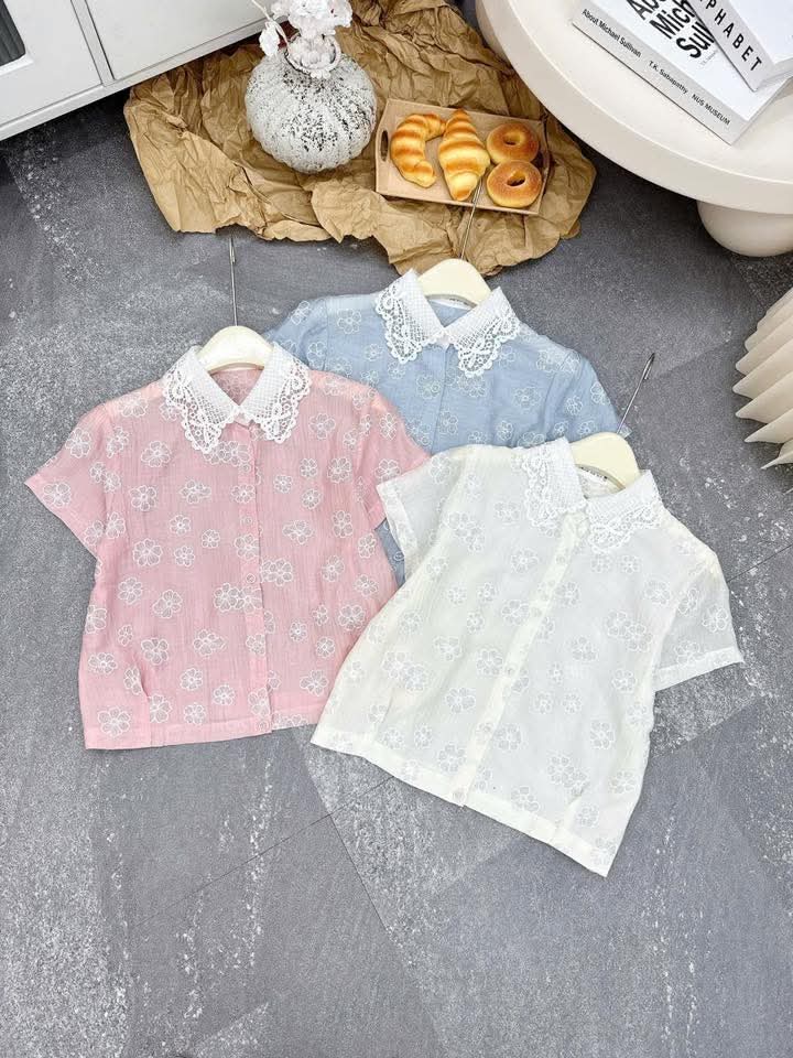 A612 Áo sơ mi hoa cổ ren